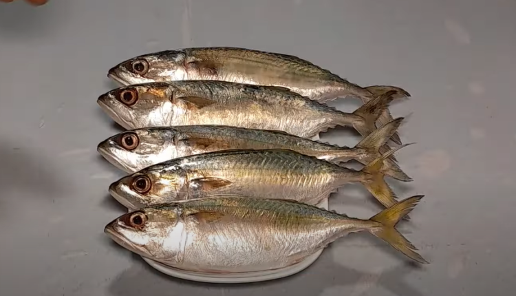 Bangada Fish Fry Recipe: Indian Mackerel Fry | KO Masala